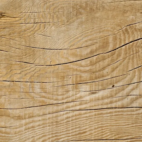 bamboo_pw320_05
