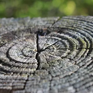 NATURA_4211_lorè