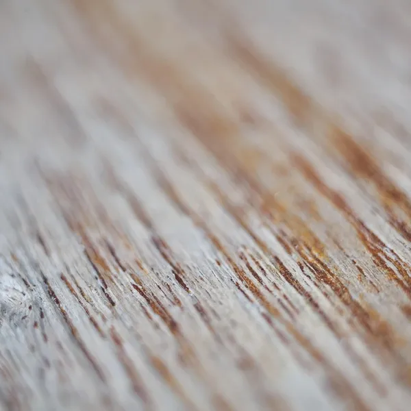 bamboo_pw320_03