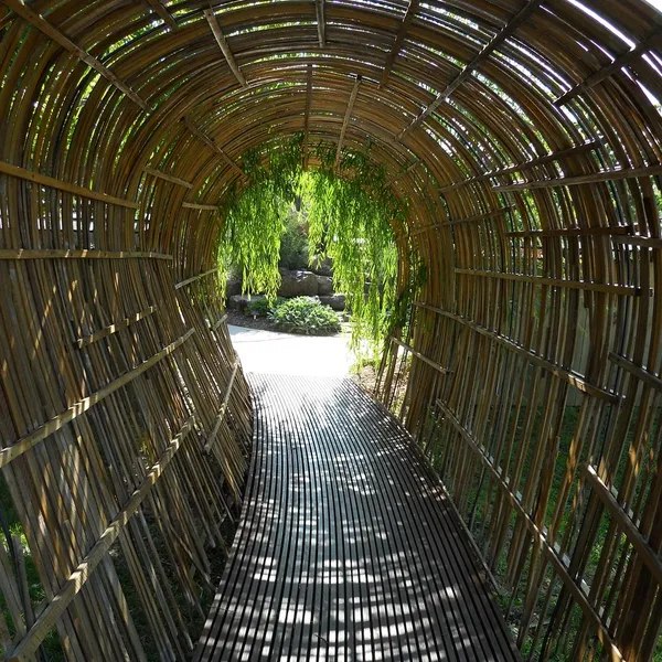 bamboo_PW350_03