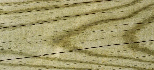 Evaporato Orizzontale 1