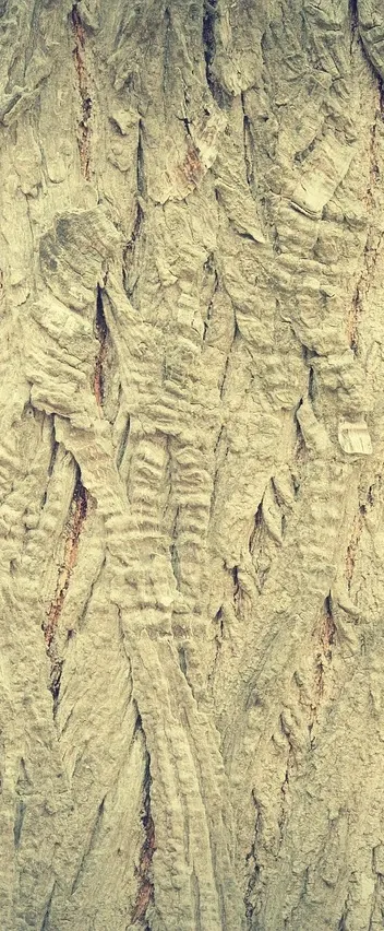 MINI PLANK MM 120 COL. NATURALE COD. ITA03